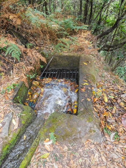Levada da Portela — Desvio da estrada florestal e seguindo até ao troço entubado — foto 9