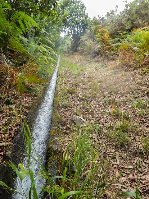 Levada da Portela — Desvio da estrada florestal e seguindo até ao troço entubado — foto 6