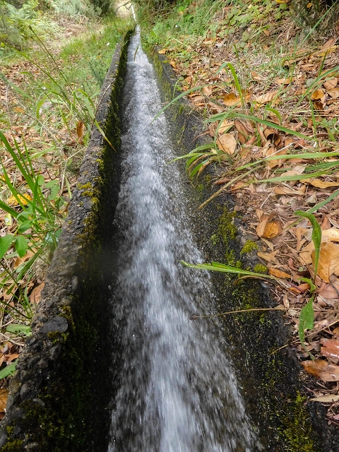 Levada da Portela — Desvio da estrada florestal e seguindo até ao troço entubado — foto 4