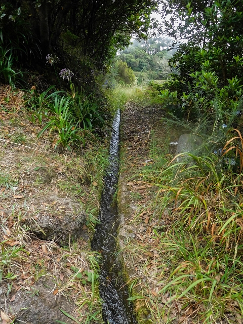 Levada da Portela — Desvio da estrada florestal e seguindo até ao troço entubado — foto 3