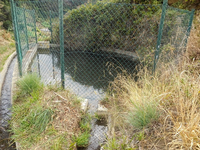 Levada da Fajazinha — The reservoir — photo 1
