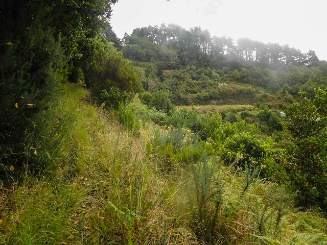 18 August 2017 Circuit above Porto da Cruz — Ascent along the Levada da Portela — photo 22