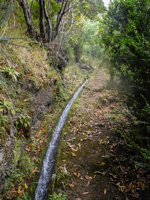 Levada da Portela — Desvio da estrada florestal e seguindo até ao troço entubado — foto 2