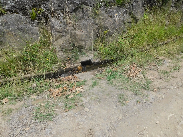 Levada da Portela — Desvio da estrada florestal e seguindo até ao troço entubado — foto 1