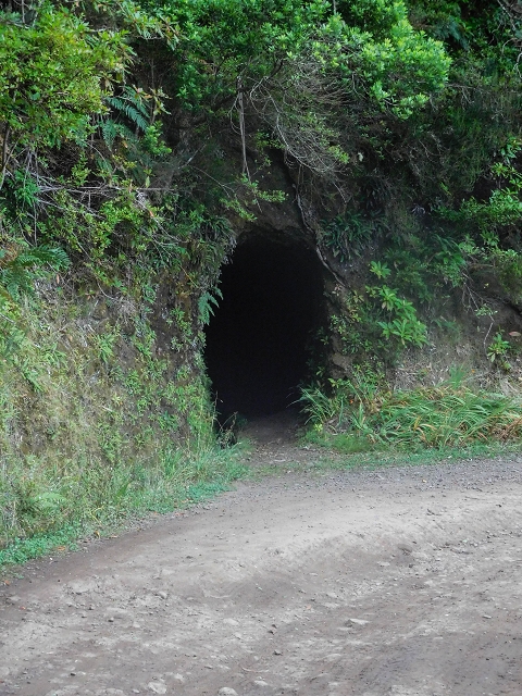 Levada da Portela — O pequeno túnel — foto 4