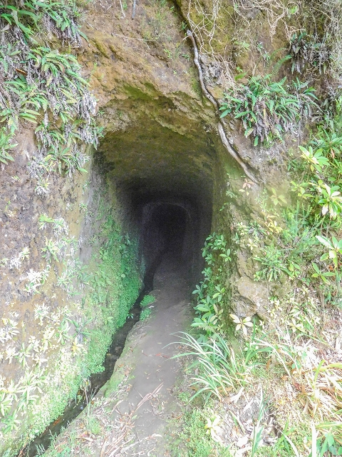 Levada da Portela — O pequeno túnel — foto 3
