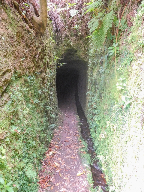 Levada da Portela — O pequeno túnel — foto 1