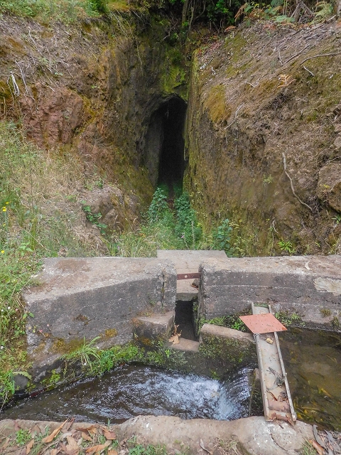 Levada da Portela — O túnel aberto para sul — foto 1