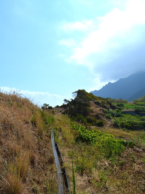 Levada do Poco do Arvoredo — Offen zum Speicherbecken — Foto 3