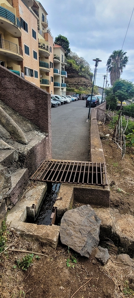 19 June 2022 Three short walks in Calheta — Levada de Sao Joao — photo 3