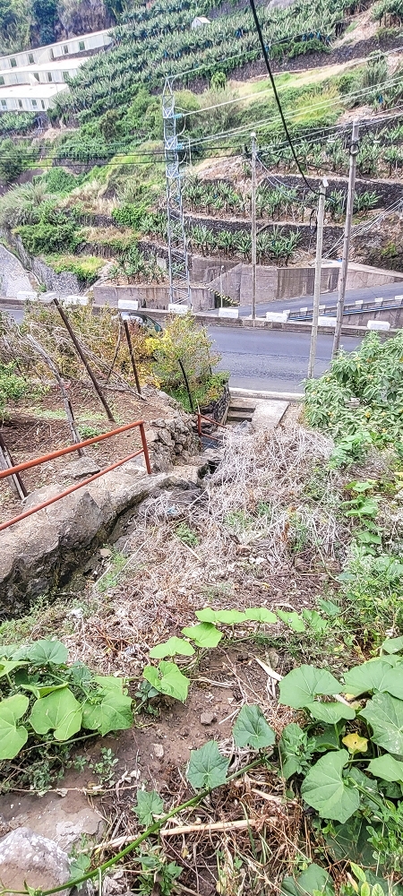 19 June 2022 Three short walks in Calheta — Levada de Sao Joao — photo 4