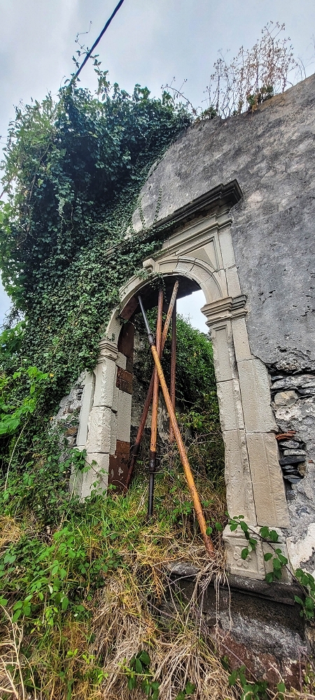 19 June 2022 Three short walks in Calheta — Levada de Sao Joao — photo 9