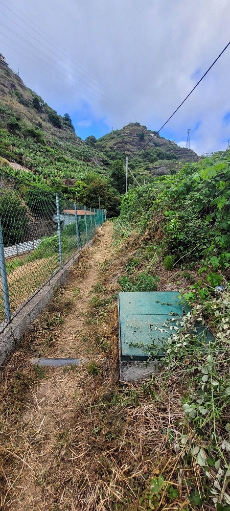 19 June 2022 Three short walks in Calheta — Levada de Sao Joao — photo 10