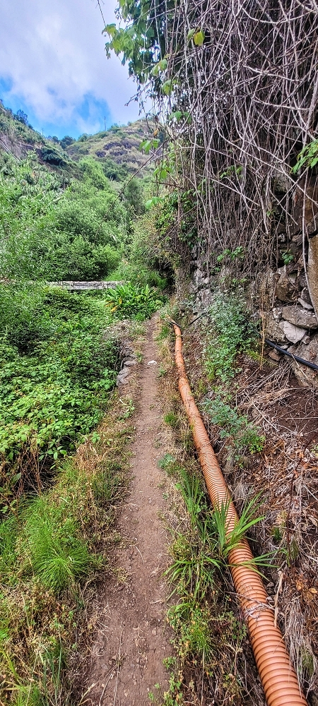 19 June 2022 Three short walks in Calheta — Levada de Sao Joao — photo 13