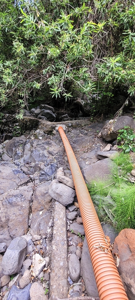 19 June 2022 Three short walks in Calheta — The Madre of the Levada de Sao Joao — photo 1