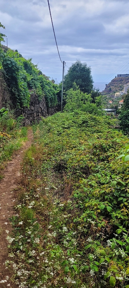 19 June 2022 Three short walks in Calheta — Back to the Caminho do Lombo do Doutor — photo 1