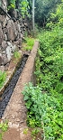 19 June 2022 Three short walks in Calheta — Back to the Caminho do Lombo do Doutor — photo 2