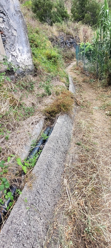 19 June 2022 Three short walks in Calheta — Back to the Caminho do Lombo do Doutor — photo 6