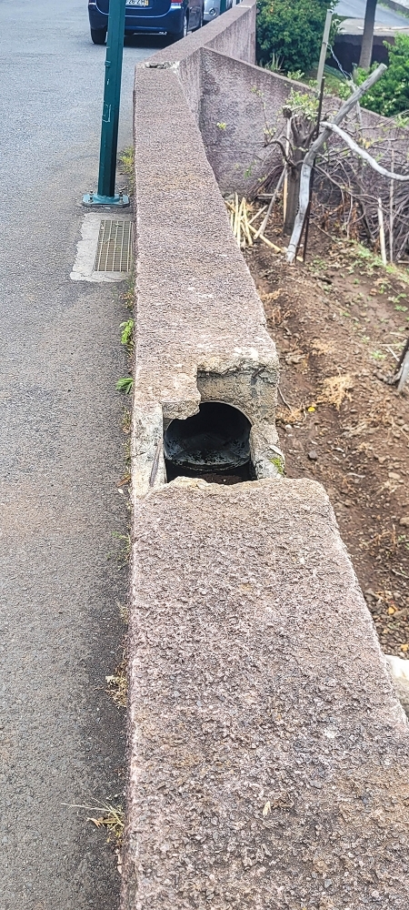 19 June 2022 Three short walks in Calheta — Back to the Caminho do Lombo do Doutor — photo 10