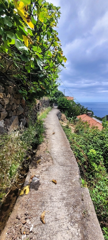 19 June 2022 Three short walks in Calheta — Crossing the Caminho do Lombo do Doutor and on the Impasse da Levada de Sao Joao — photo 4
