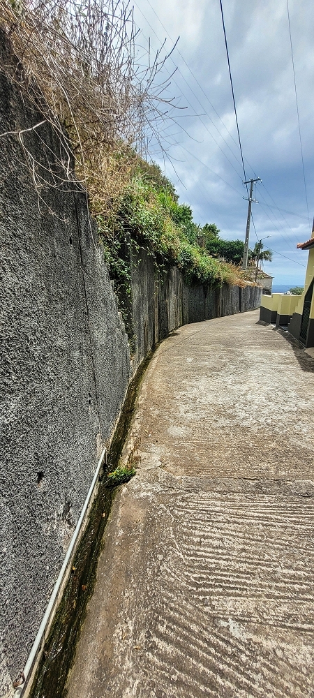 19 June 2022 Three short walks in Calheta — Crossing the Caminho do Lombo do Doutor and on the Impasse da Levada de Sao Joao — photo 5