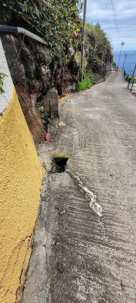 19 June 2022 Three short walks in Calheta — Crossing the Caminho do Lombo do Doutor and on the Impasse da Levada de Sao Joao — photo 6