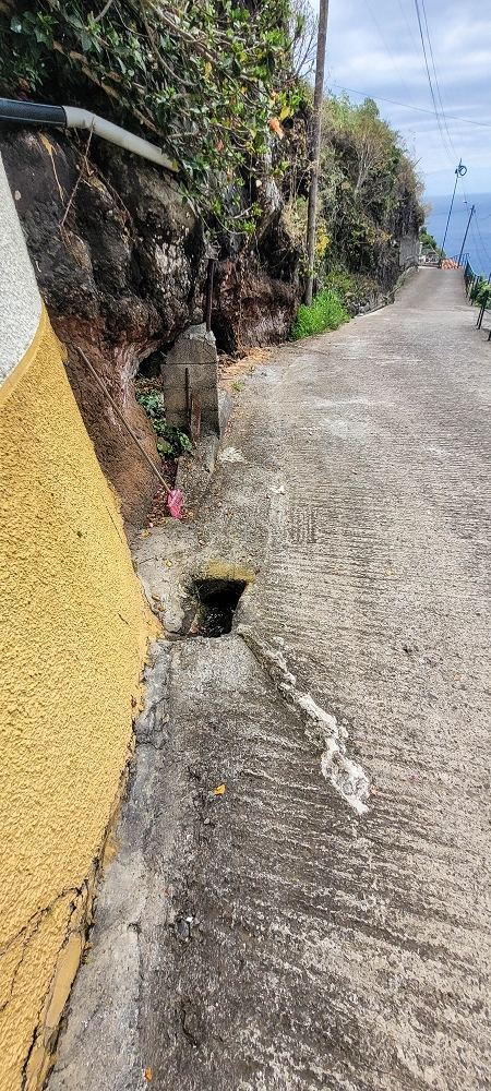 19 June 2022 Three short walks in Calheta — Crossing the Caminho do Lombo do Doutor and on the Impasse da Levada de Sao Joao — photo 7