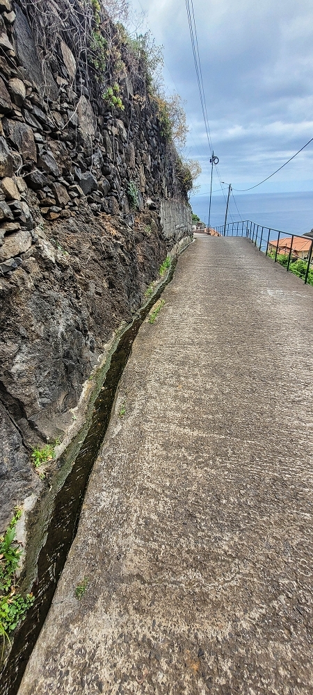 19 June 2022 Three short walks in Calheta — Crossing the Caminho do Lombo do Doutor and on the Impasse da Levada de Sao Joao — photo 8