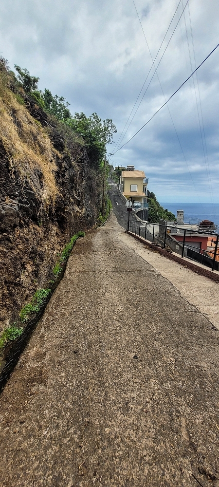 19 June 2022 Three short walks in Calheta — Crossing the Caminho do Lombo do Doutor and on the Impasse da Levada de Sao Joao — photo 9