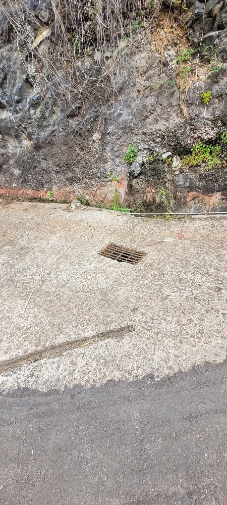 19 June 2022 Three short walks in Calheta — Crossing the Caminho do Lombo do Doutor and on the Impasse da Levada de Sao Joao — photo 10