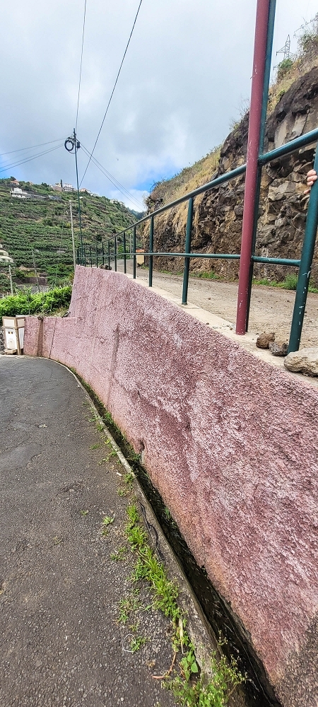 19 June 2022 Three short walks in Calheta — Crossing the Caminho do Lombo do Doutor and on the Impasse da Levada de Sao Joao — photo 11
