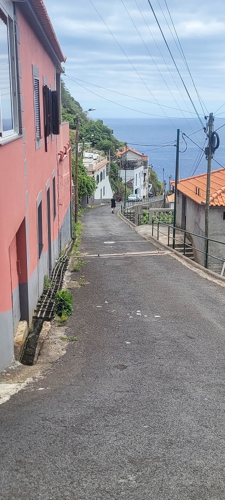 19 June 2022 Three short walks in Calheta — On the old Caminho do Lombo do Doutor to the end basin of the Levada de Sao Joao — photo 2