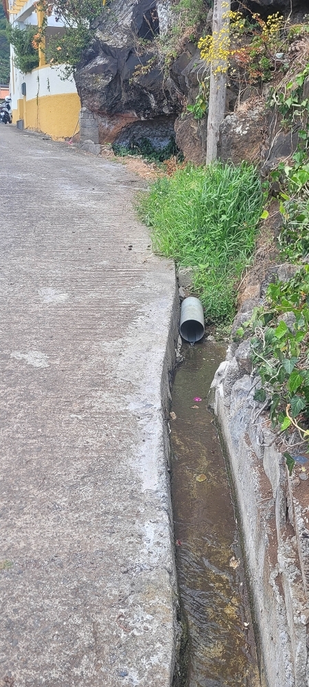 19 June 2022 Three short walks in Calheta — On the old Caminho do Lombo do Doutor to the end basin of the Levada de Sao Joao — photo 4