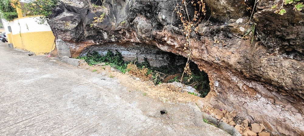 19 June 2022 Three short walks in Calheta — On the old Caminho do Lombo do Doutor to the end basin of the Levada de Sao Joao — photo 5