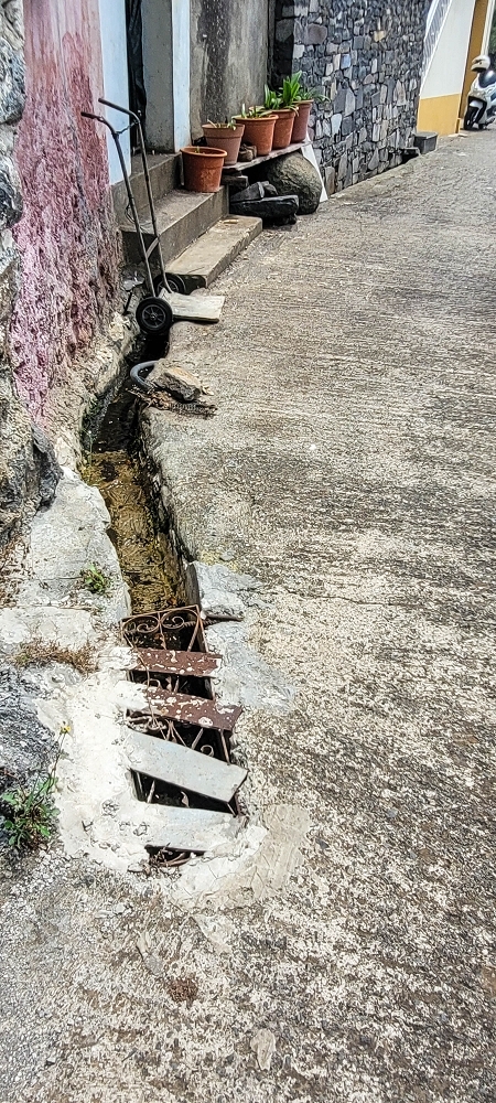 19 June 2022 Three short walks in Calheta — On the old Caminho do Lombo do Doutor to the end basin of the Levada de Sao Joao — photo 6