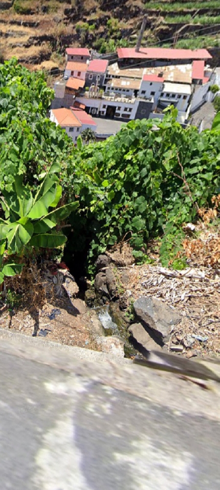 19 June 2022 Three short walks in Calheta — On the old Caminho do Lombo do Doutor to the end basin of the Levada de Sao Joao — photo 7