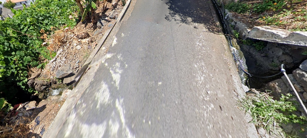 19 June 2022 Three short walks in Calheta — On the old Caminho do Lombo do Doutor to the end basin of the Levada de Sao Joao — photo 8
