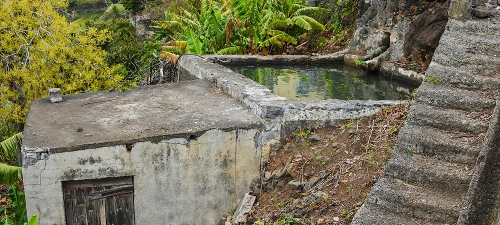 19 June 2022 Three short walks in Calheta — On the old Caminho do Lombo do Doutor to the end basin of the Levada de Sao Joao — photo 9