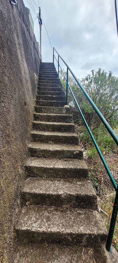 19 June 2022 Three short walks in Calheta — Back to the start on the new Caminho do Lombo do Doutor — photo 4