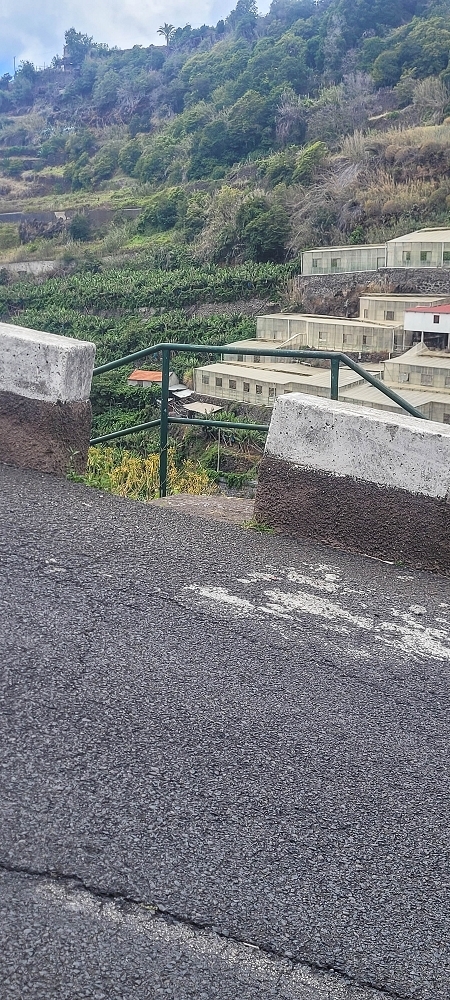 19 June 2022 Three short walks in Calheta — Back to the start on the new Caminho do Lombo do Doutor — photo 5