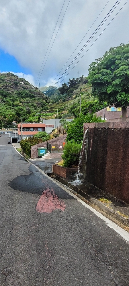 19 June 2022 Three short walks in Calheta — Back to the start on the new Caminho do Lombo do Doutor — photo 7