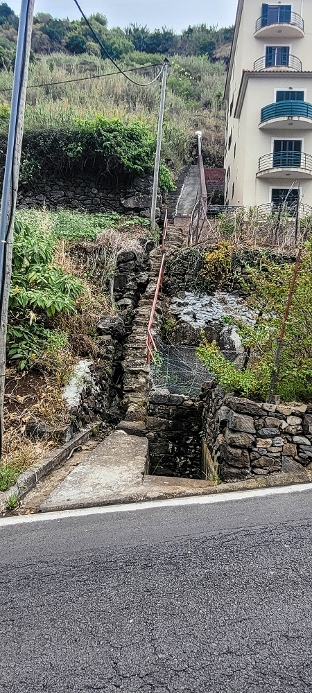 19 June 2022 Three short walks in Calheta — Back to the start on the new Caminho do Lombo do Doutor — photo 8