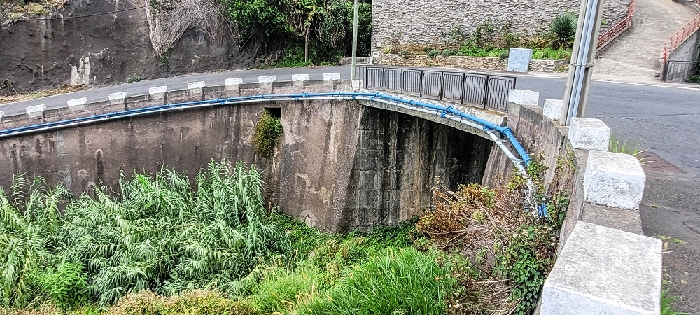 19 June 2022 Three short walks in Calheta — Back to the start on the new Caminho do Lombo do Doutor — photo 9