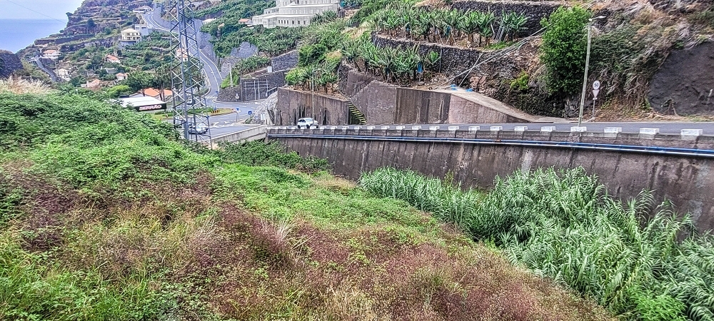 19 June 2022 Three short walks in Calheta — Back to the start on the new Caminho do Lombo do Doutor — photo 10