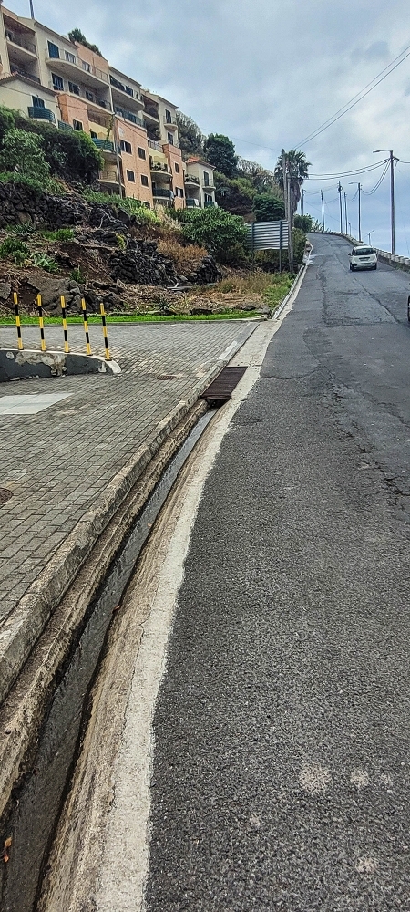 19 June 2022 Three short walks in Calheta — Back to the start on the new Caminho do Lombo do Doutor — photo 11