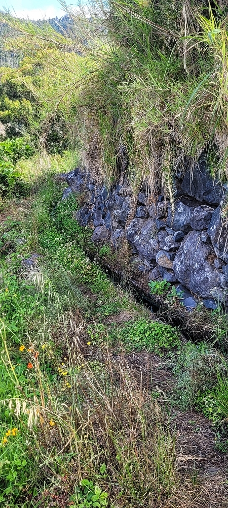 Levada da Fonte Grande — O curto troço a céu aberto da Levada da Fonte Grande — foto 2