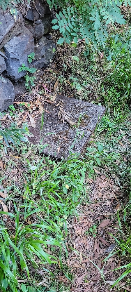 Levada da Fonte Grande — Os dois troços de prado — foto 1