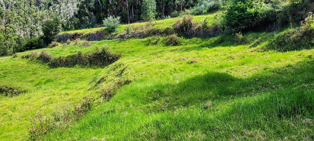 Levada da Fonte Grande — Os dois troços de prado — foto 2