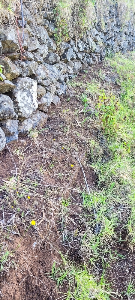 Levada da Fonte Grande — Os dois troços de prado — foto 3