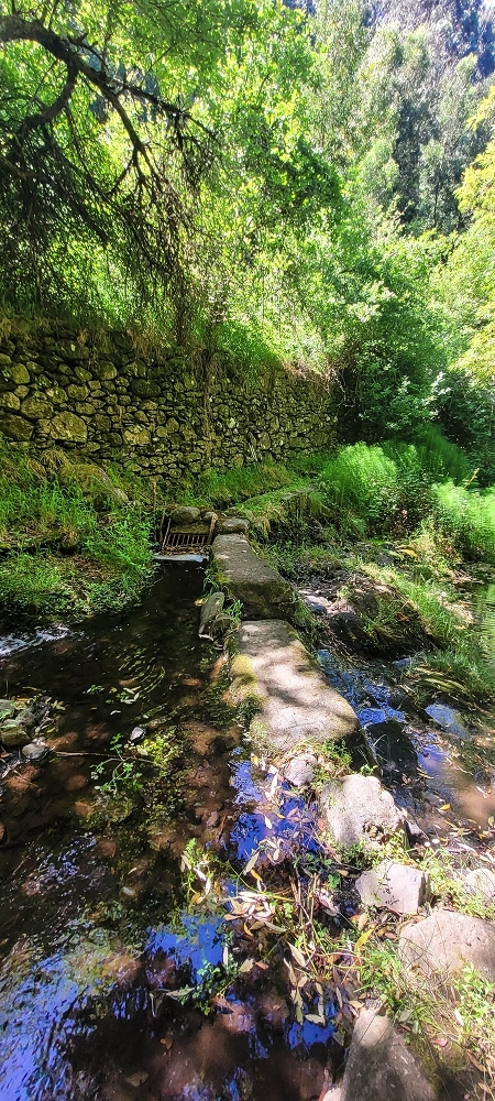 Levada da Fonte Grande — A Madre da Levada da Fonte Grande — foto 5